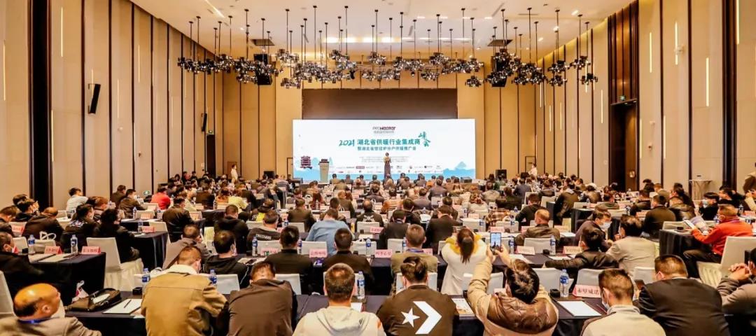 凸起贡献企业！立博ladbrokes斩获殊荣！